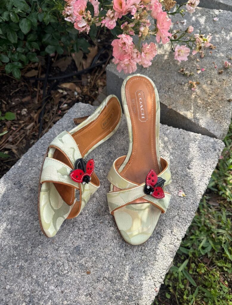 Light green Coach slide heels with red ladybug ornaments on a stone surface